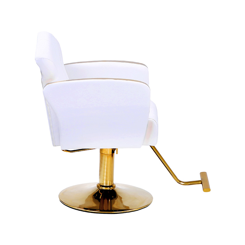 صندلی های شیک سالن Auty HZ8808 / HZ8808W