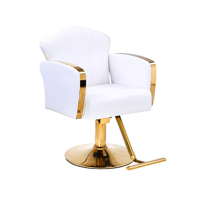 صندلی های شیک سالن Auty HZ8808 / HZ8808W